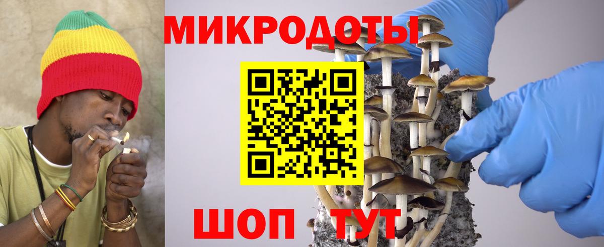 Псилоцибиновые грибы мицелий Тимашёвск